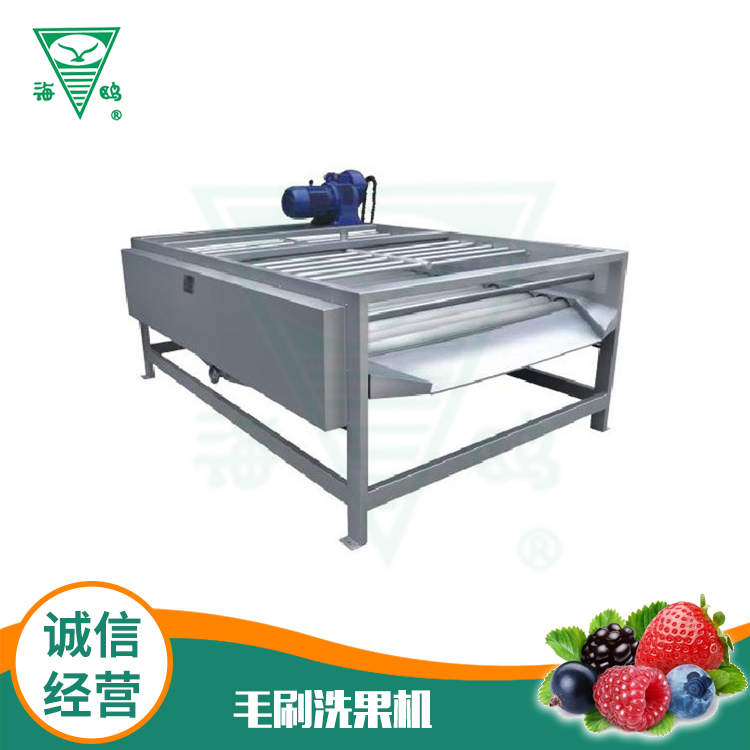 毛刷洗果機